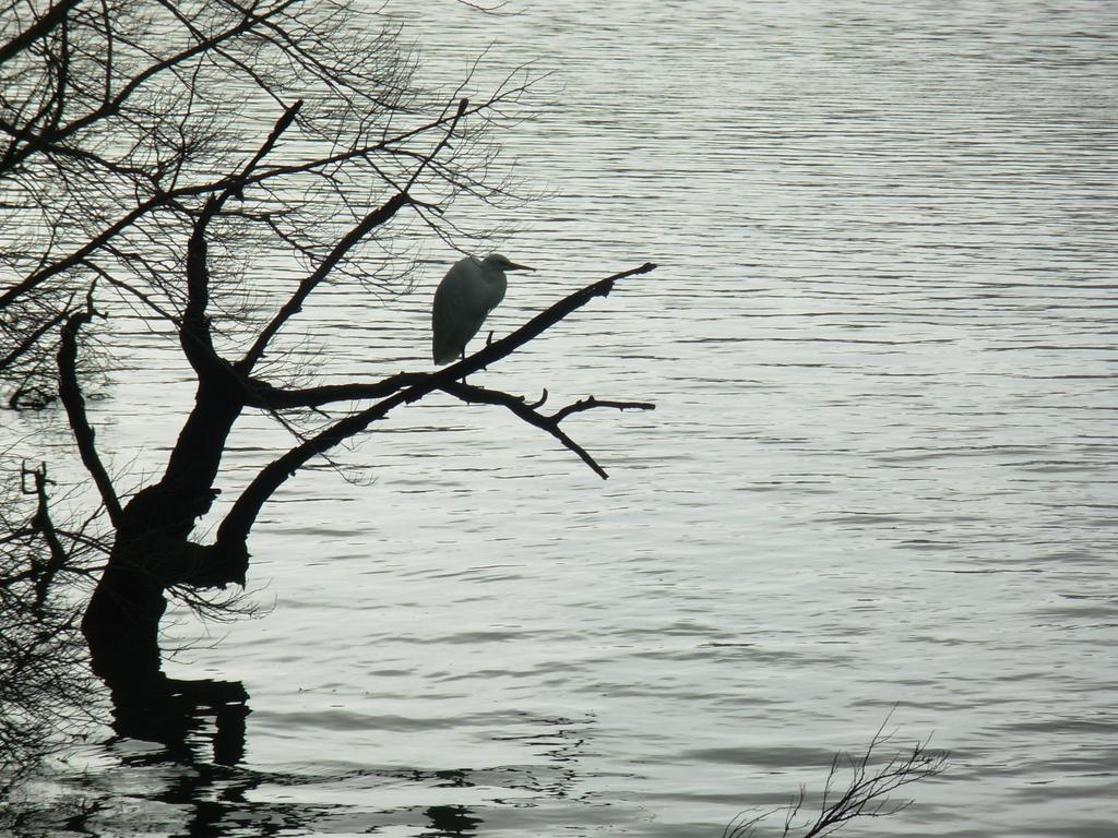 Вилла Wetland View Park Anatori Экстерьер фото