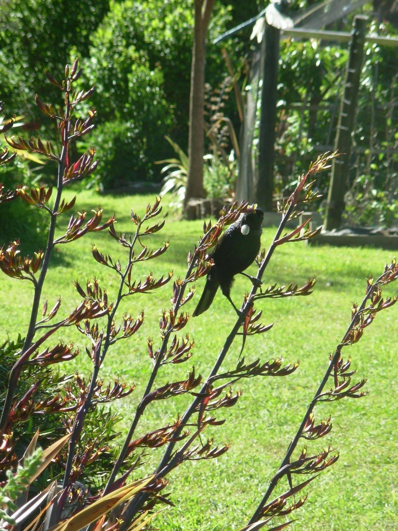 Вилла Wetland View Park Anatori Экстерьер фото